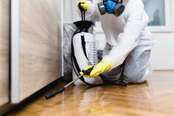 Professional Pest Control in Hidden Springs, ID