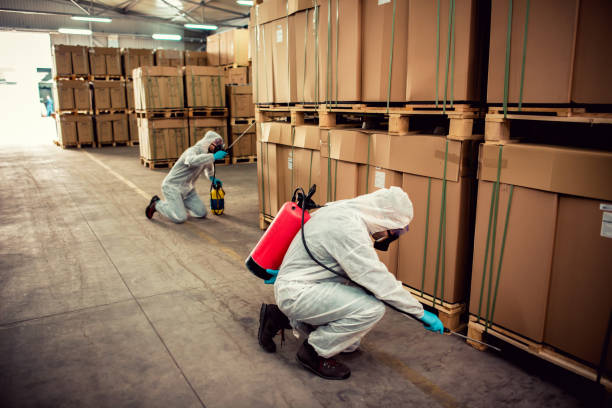 Best Flea Control Services  in Hden Springs, ID
