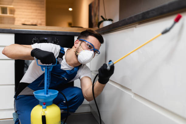 Best Pest Removal Services  in Hden Springs, ID