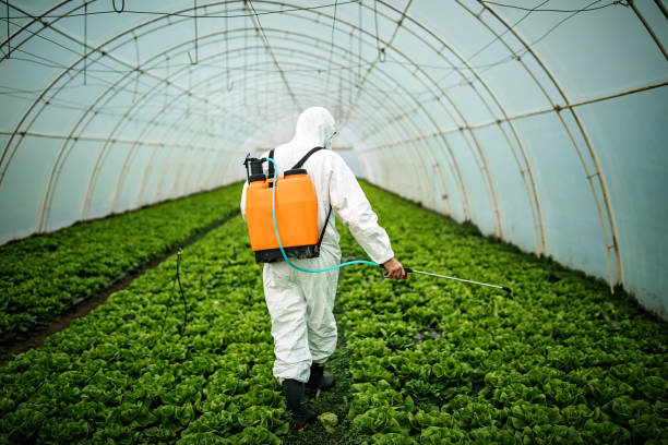 Best Pest Prevention Services  in Hden Springs, ID