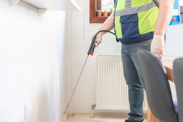 Best Rat Extermination Near Me  in Hden Springs, ID
