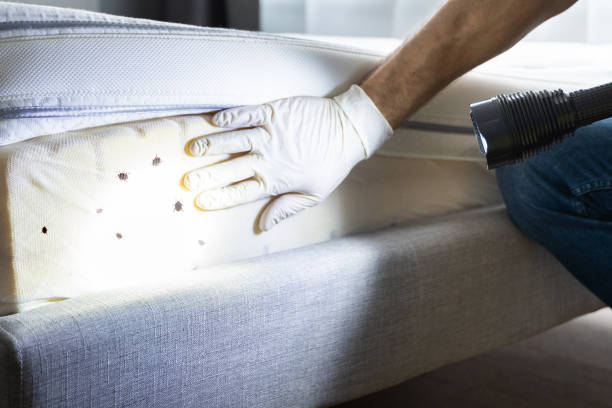 Pest Control for Restaurants in Hidden Springs, ID
